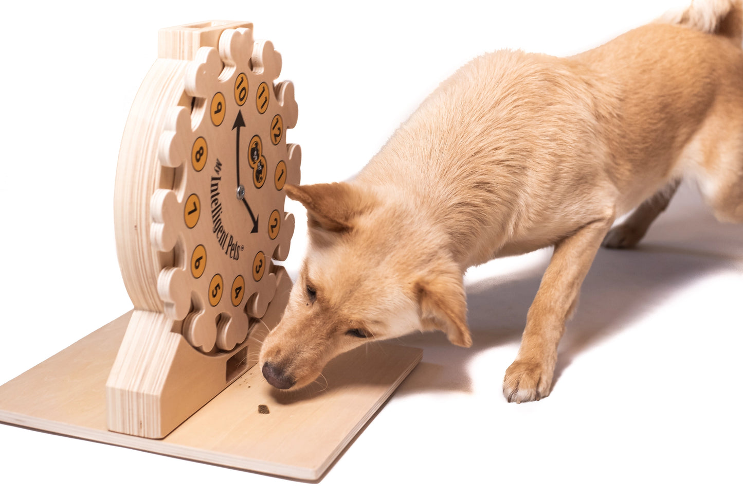 Pet's O'Clock - My intelligent pets