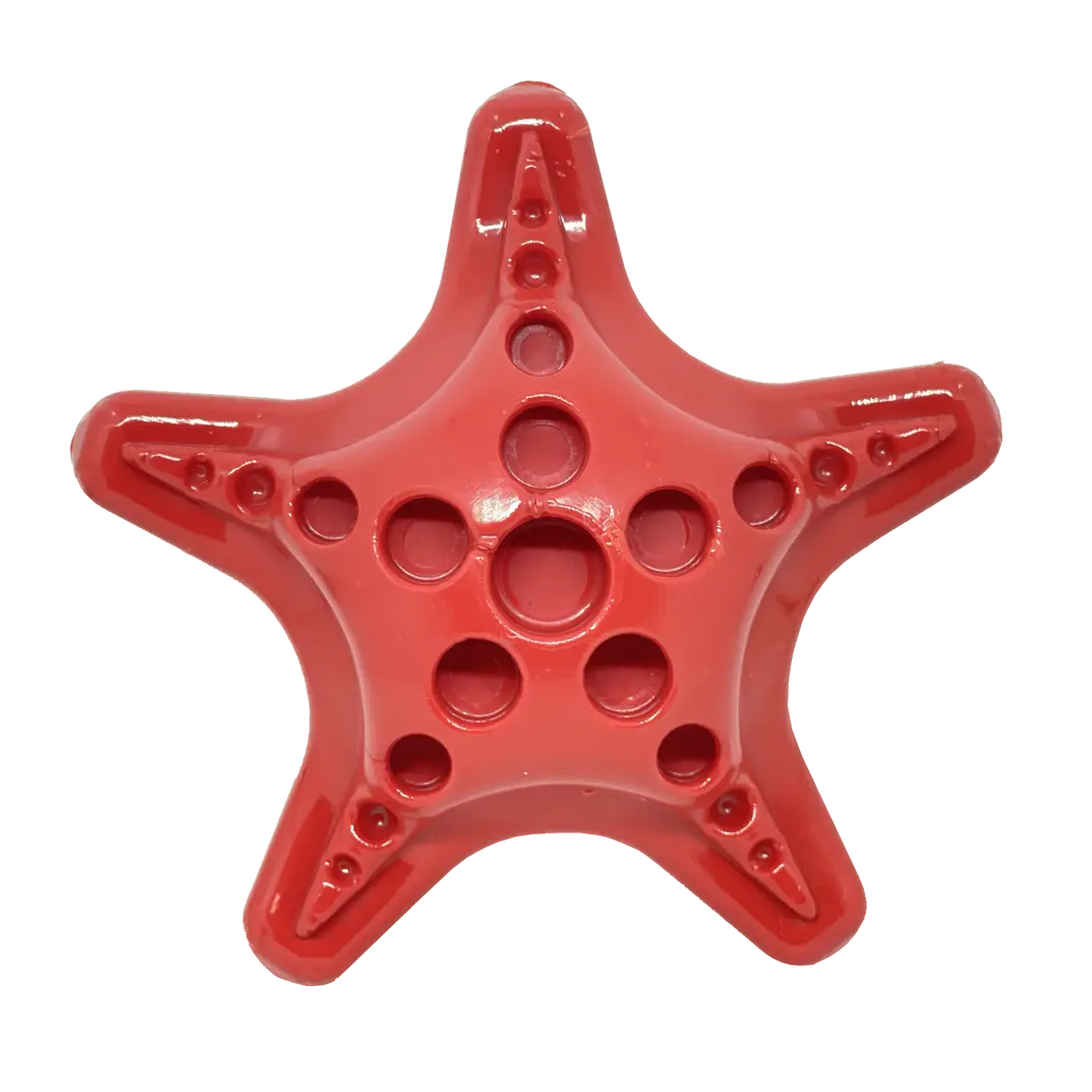 Étoile de mer - Starfish - Sodapup