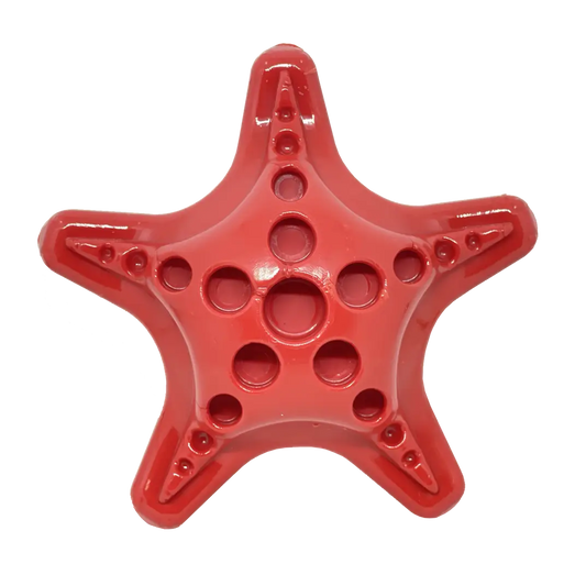 Étoile de mer - Starfish - Sodapup