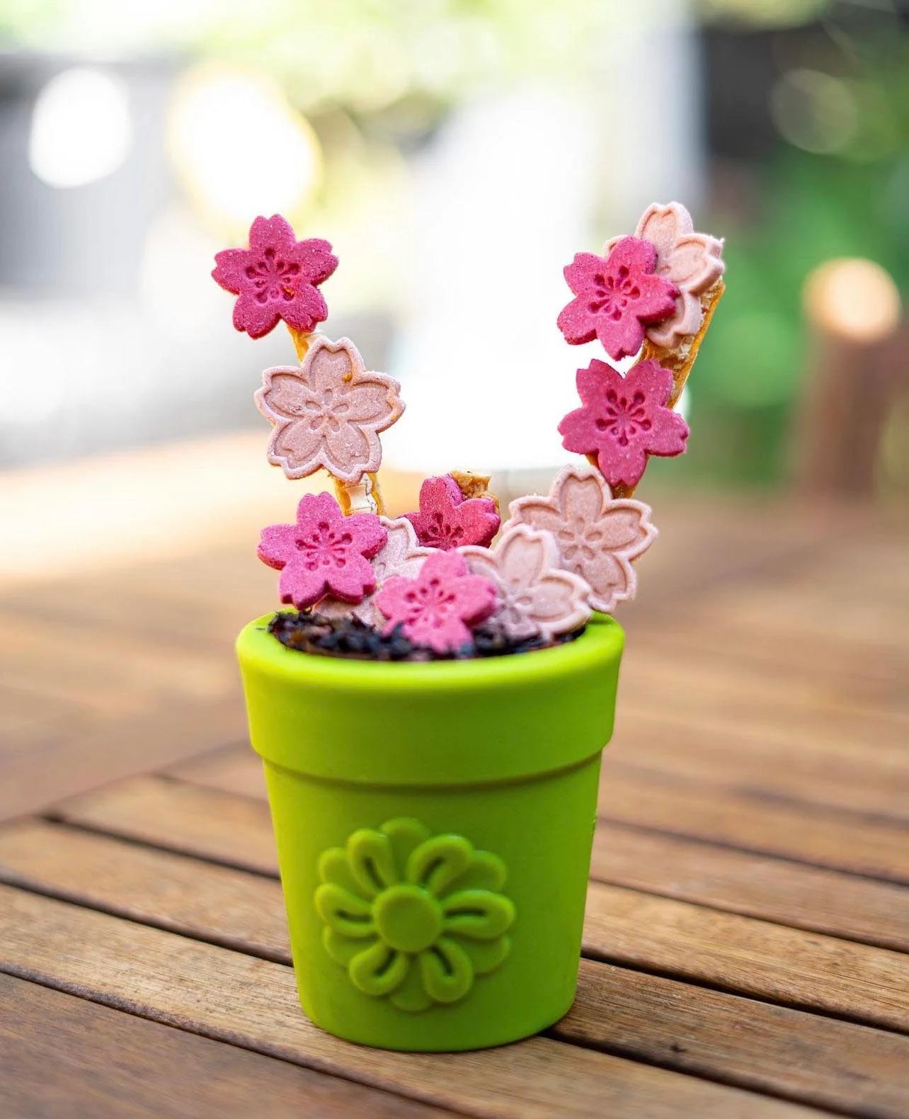Pots de fleurs - Sodapup
